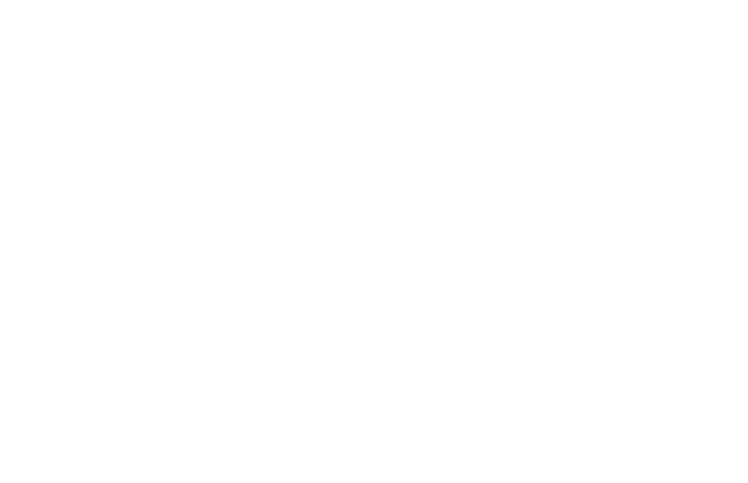 STS – Berlin visuelle Schul­ein­richtungen